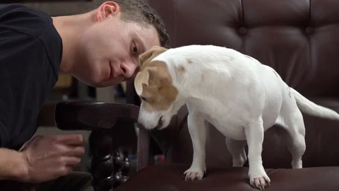 Young man in library playing with little dog Stock Footage 121590015