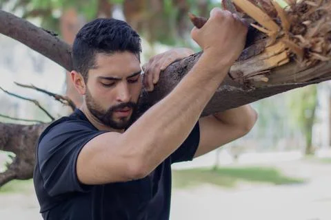 Young man lifting a tree trunk in a forest. lumberjack cutting a tree in th.. Stock Photos