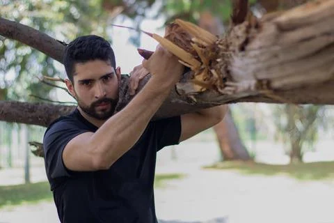 Young man lifting a tree trunk in a forest. lumberjack cutting a tree in th.. Stock Photos