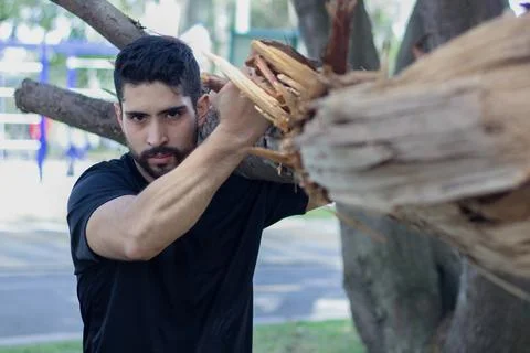 Young man lifting a tree trunk in a forest. lumberjack cutting a tree in th.. Stock Photos