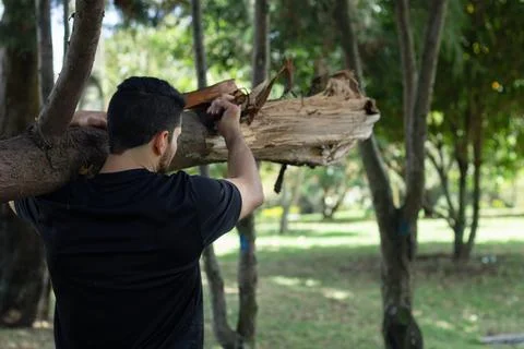 Young man lifting a tree trunk in a forest. lumberjack cutting a tree in th.. Stock Photos