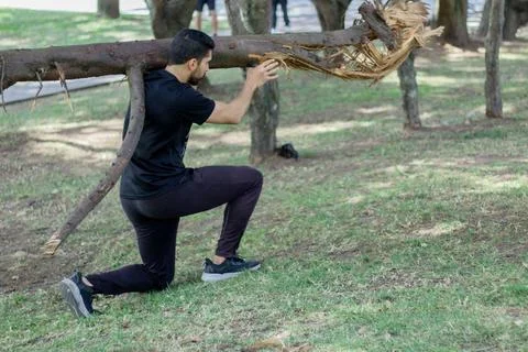 Young man lifting a tree trunk in a forest. lumberjack cutting a tree in th.. Stock Photos