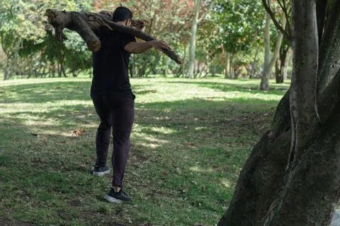 Young man lifting a tree trunk in a forest. lumberjack cutting a tree in th.. Stock Photos