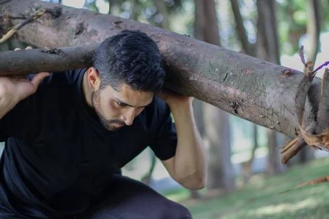 Young man lifting a tree trunk in a forest. lumberjack cutting a tree in th.. Stock Photos