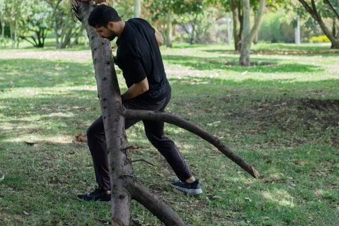 Young man lifting a tree trunk in a forest. lumberjack cutting a tree in th.. Stock Photos