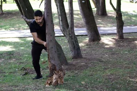Young man lifting a tree trunk in a forest. lumberjack cutting a tree in th.. Stock Photos