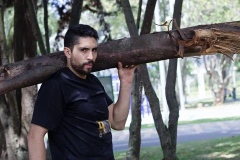 Young man lifting a tree trunk in a forest. lumberjack cutting a tree in th.. Stock Photos