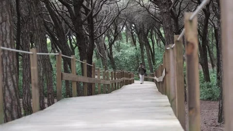 Young man in linen clothes walking along wooden pathway in lush green forest. Stock Footage 311128435