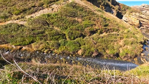A young man looking at the beautiful cove on Mount Jaizkibel Stock Footage 276645267