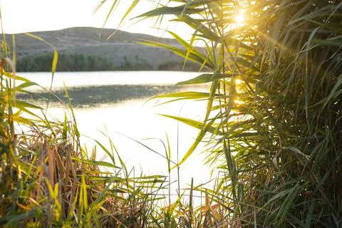 The young man looking at the beautiful view at the lake Stock Photos