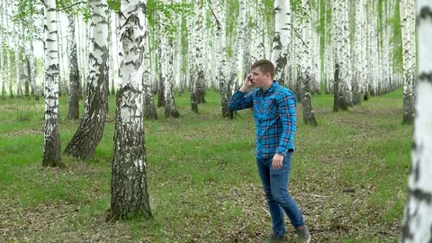 A young man is looking for a cellular network in a birch forest. A man is Stock Footage 130026421