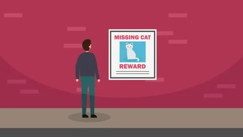 Young man looking at missing cat poster on the wall Stock Footage 160655005