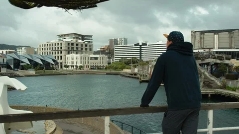 Young man looking out over Whairepo Lagoon in Wellington Stock Footage 89893618