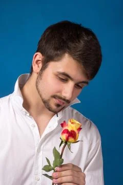 Young man looking to red rose on blue background Fotos de archivo