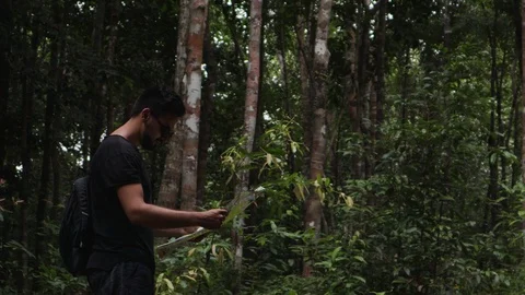 Young man looking for the right way at the tropical jungles using a map. Stock Footage 99891826