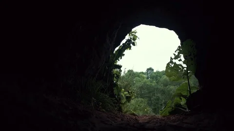 Young man looks into dark cave chamber with flashlight in his hand. Stock Footage 80053766