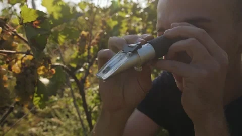A young man looks into a refractometer. Stock Footage 262255661
