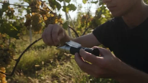 A young man looks into a refractometer. Stock Footage 262255806