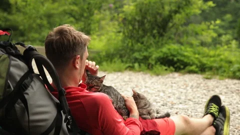 A young man is lying, and stroked the cat, slow motion. Stock Footage 97761690