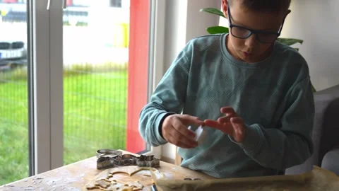 Young man making gingerbread in cosy home kitchen. Stock Footage 293747109