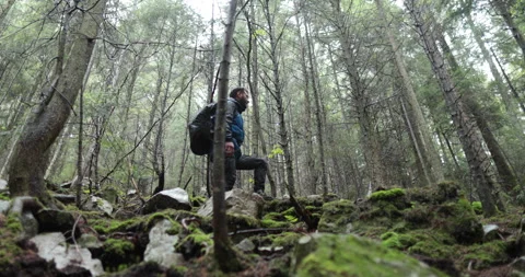 A young man in a mountain hiking with a backpack Stock Footage 243723569