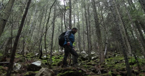 A young man in a mountain hiking with a backpack Stock Footage 243724064