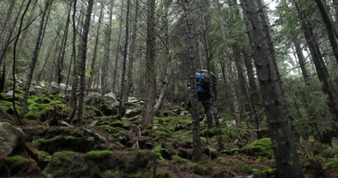 A young man in a mountain hiking with a backpack Stock Footage 243727922