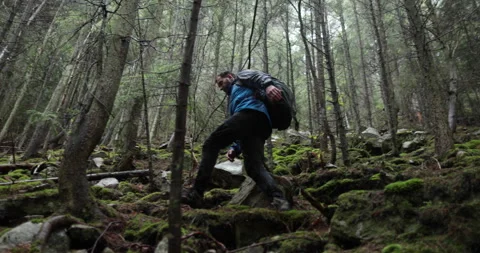 A young man in a mountain hiking with a backpack Stock Footage 243729328