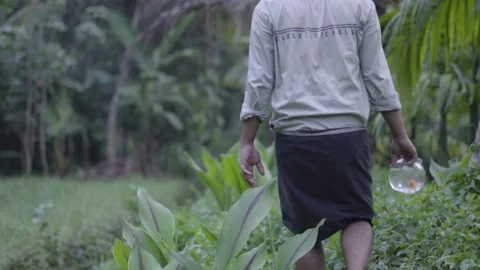 Young man moving forward with globe of fish in hand youth isolation Stock Footage 130353497