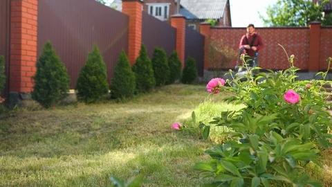 Young man mows the grass with a lawn mower, along a high fence, near the flowers Vídeo Stock 113254773
