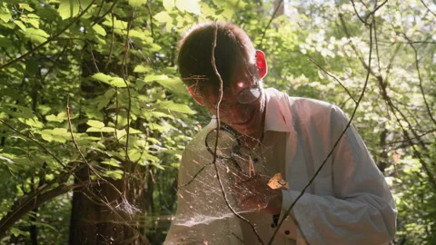 Young Man Observing Spider Web With Magnifying Glass In Forest Stock Footage 321108774