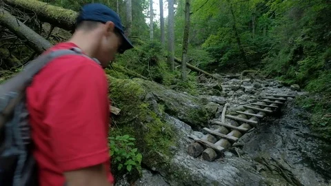Young man out for hike in a forest Vídeo Stock 78877092