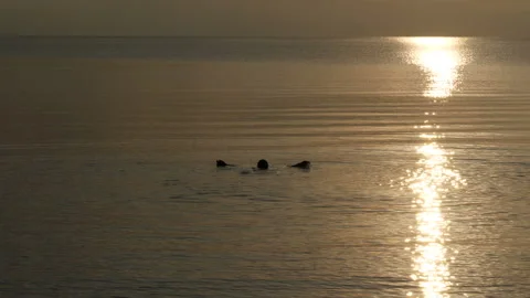 Young man on a paradise beach at dawn Stock Footage 130665233