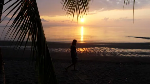 Young man on a paradise beach at dawn Stock Footage 130665264