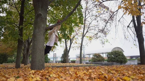 Young man in the park performs a jump in autumn Stock Footage 120039059