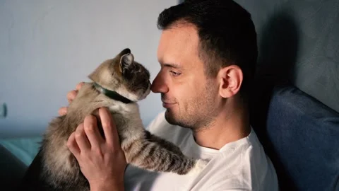 Young man pet a cat in bed, morning routine Stock Footage 276379253