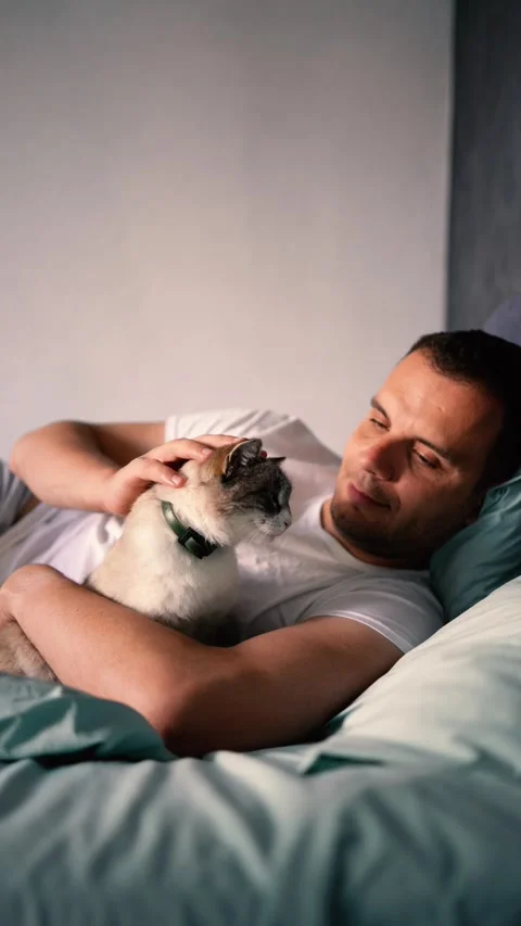 Young man pet a cat in bed, morning routine Stock-Footage 276379444