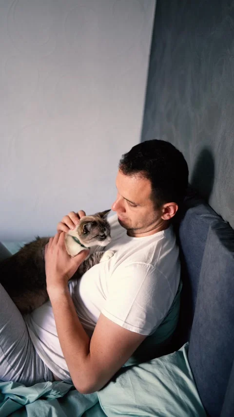 Young man pet a cat in bed, morning routine Stock-Footage 276379445