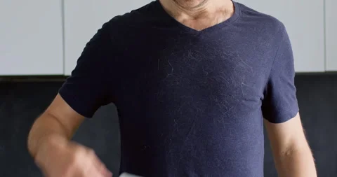 Young man pets cat then uses brush to clean clothes in flat Stockbeeldmateriaal 256349193
