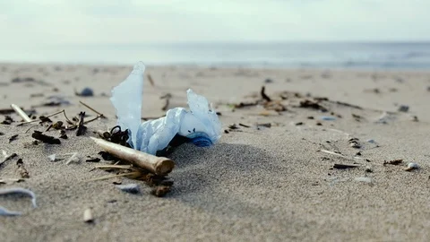 Young man pick up plastic garbage on sea shore,clean up ecosystem pollution,4k Stock Footage 120883029