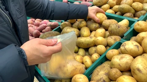 Young man picks potatoes in a plastic bag Video stock 120324010