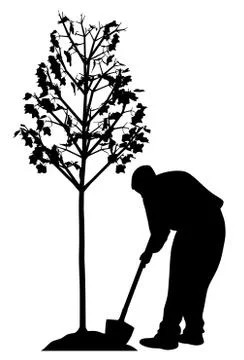 Young man planting a tree Stock Illustration