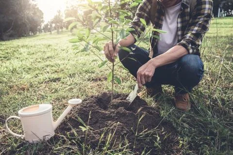 Young man planting the tree while Watering a tree working in the garden as sa Stock Photos