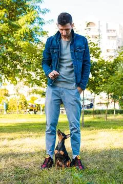 Young man playing and training his little dog outdoors. Foto stock