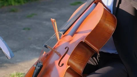 Young man playing cello outdoors on a tree-lined path during daytime Video stock 342135464