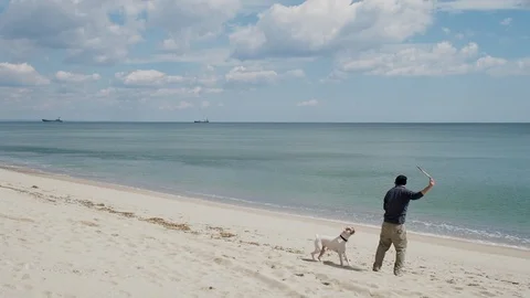 Young man playing with his dog on the beach Stock Footage 89998604