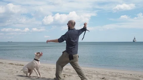 Young man playing with his dog on the beach Stock Footage 89999693