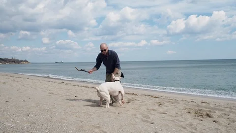 Young man playing with his dog on the beach Stock Footage 90000352