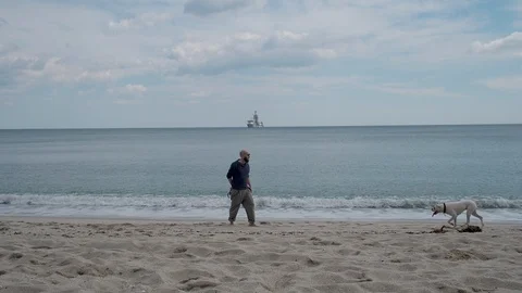 Young man playing with his dog on the beach Stock Footage 90010963