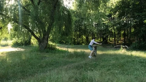 Young man playing with his irish woulfhound dog during the walking in the park. Stock Footage 138744864